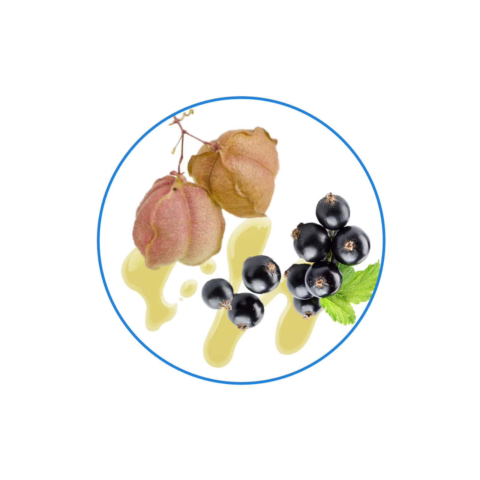 Crema calmanta si protectoare pentru pielea sensibila, predispusa la dermatita, Dr. Scheller Medical, 50 ml - imagine 5